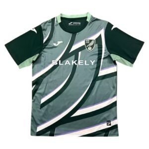 CAMISETA SEGUNDA EQUIPACIÓN NORWICH CITY 25/26 VERSIÓN FAN