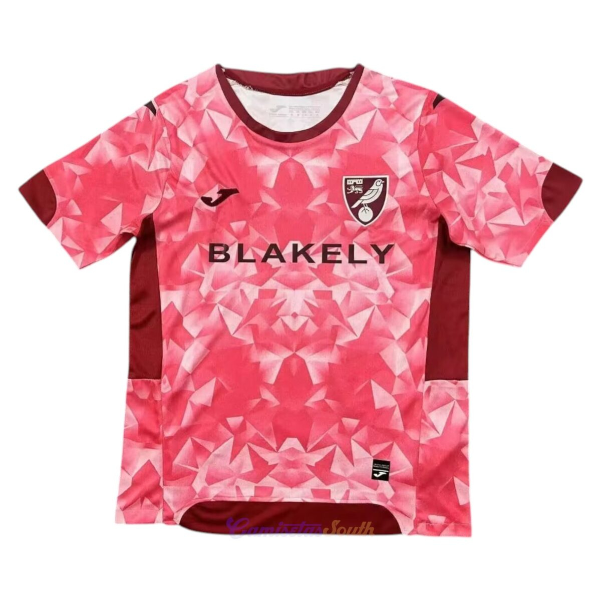CAMISETA TERCERA EQUIPACIÓN NORWICH CITY 25/26 VERSIÓN FAN