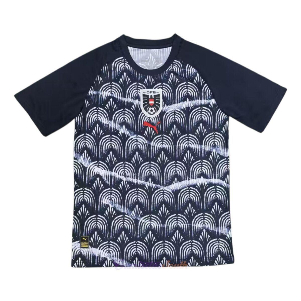 CAMISETA ENTRENAMIENTO AUSTRIA 2025 VERSIÓN FAN