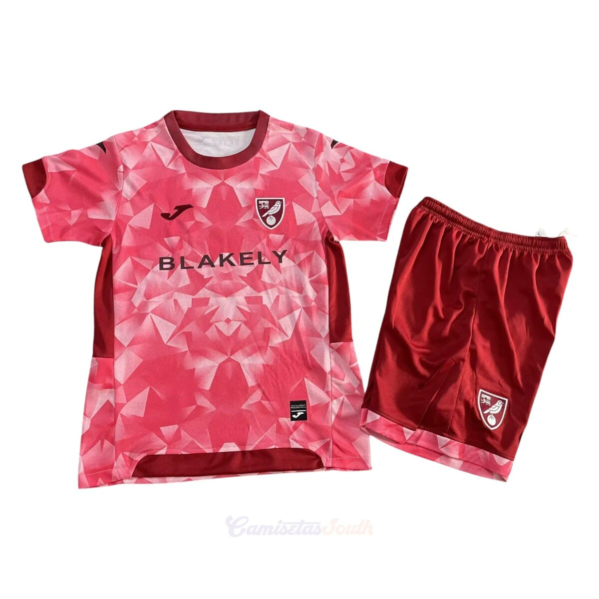 CAMISETA TERCERA EQUIPACIÓN NORWICH CITY 25/26 VERSIÓN INFANTIL