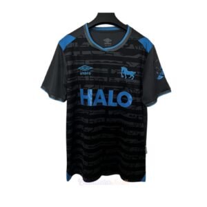 CAMISETA TERCERA EQUIPACIÓN IPSWICH TOWN 25/26 VERSIÓN FAN