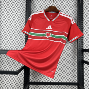CAMISETA PRIMERA EQUIPACIÓN GALES 2026 VERSIÓN FAN