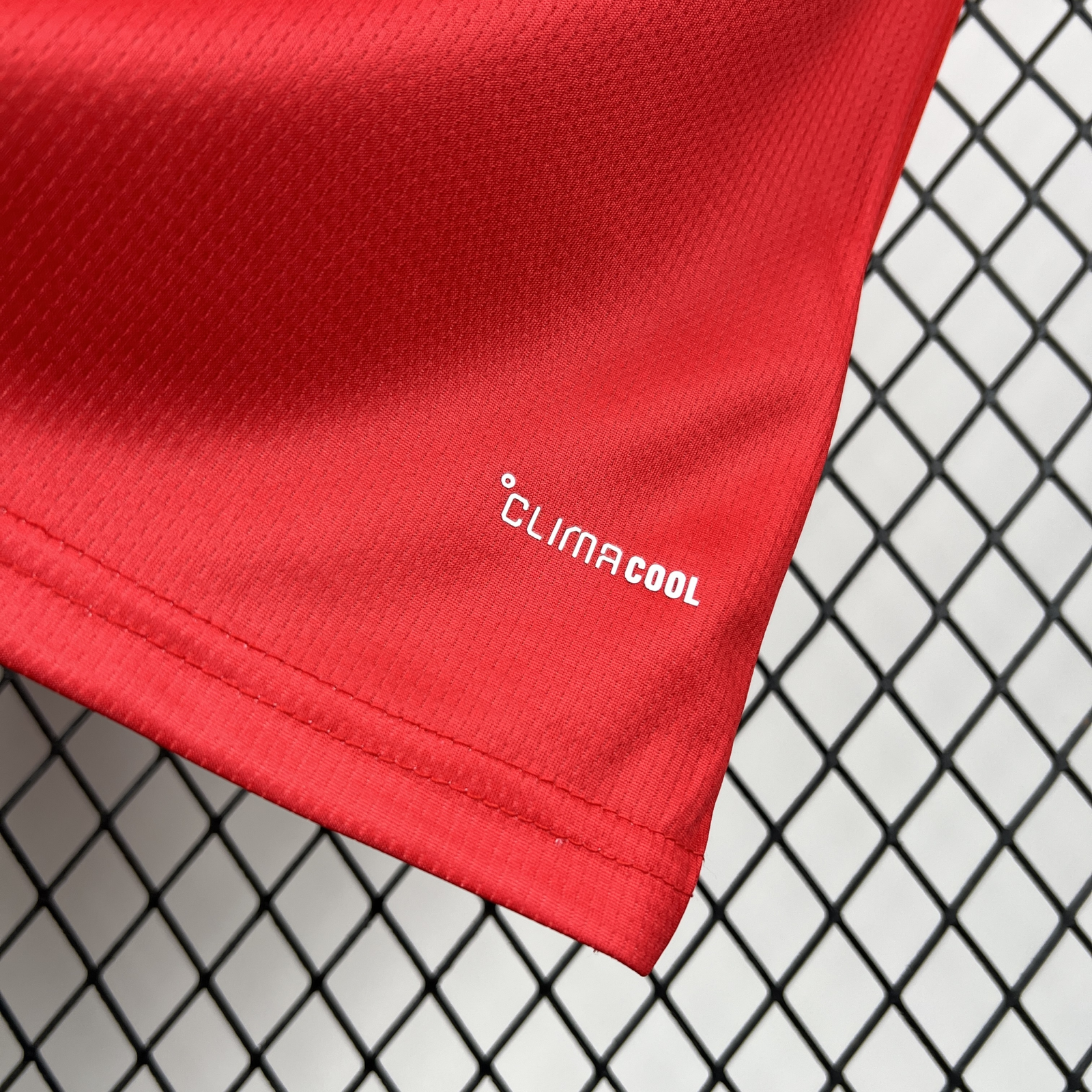 CAMISETA PRIMERA EQUIPACIÓN GALES 2026 VERSIÓN FAN - Imagen 6