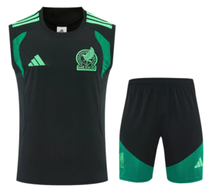 CONJUNTO DE ENTRENAMIENTO MÉXICO 2026