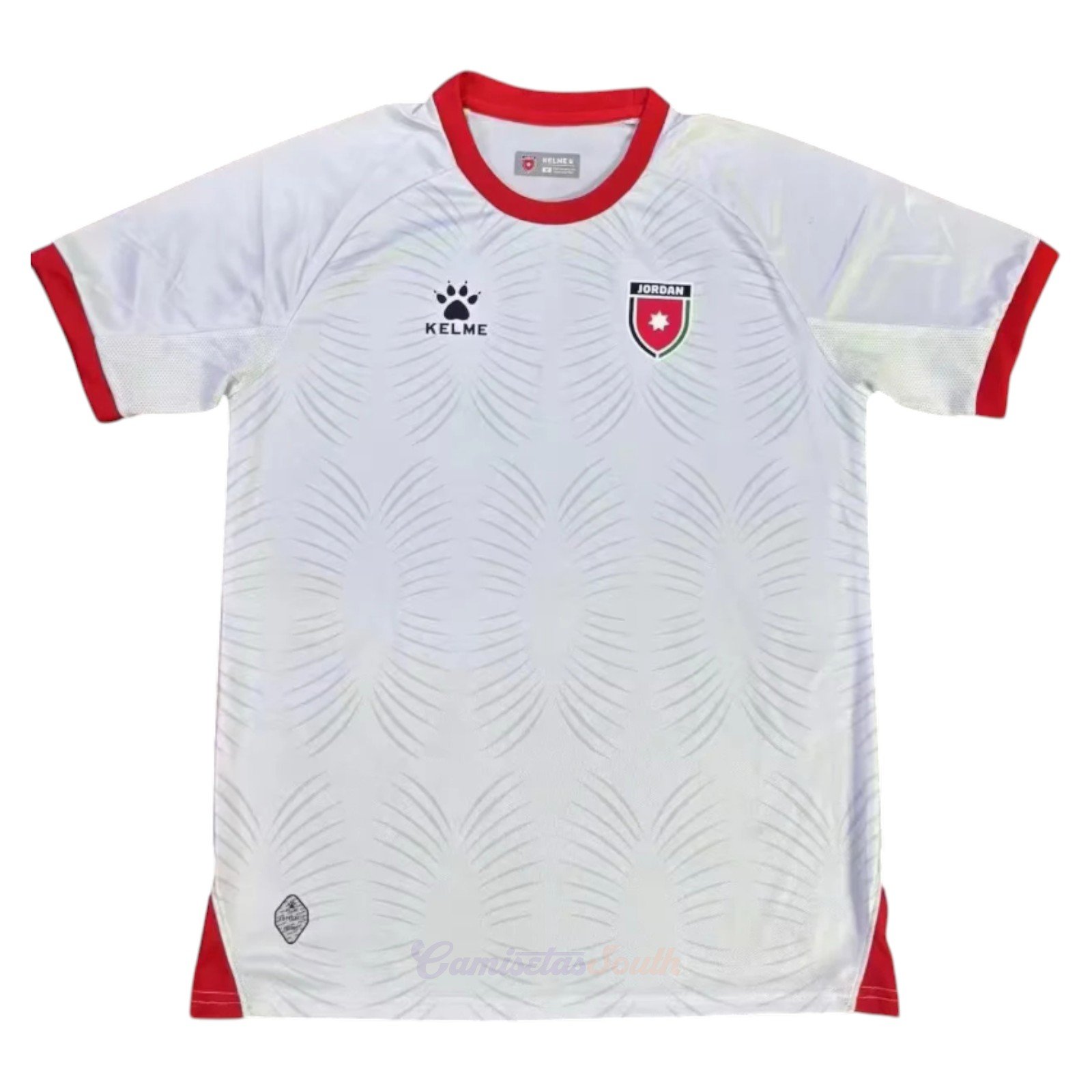 CAMISETA PRIMERA EQUIPACIÓN JORDAN 2025 VERSIÓN FAN