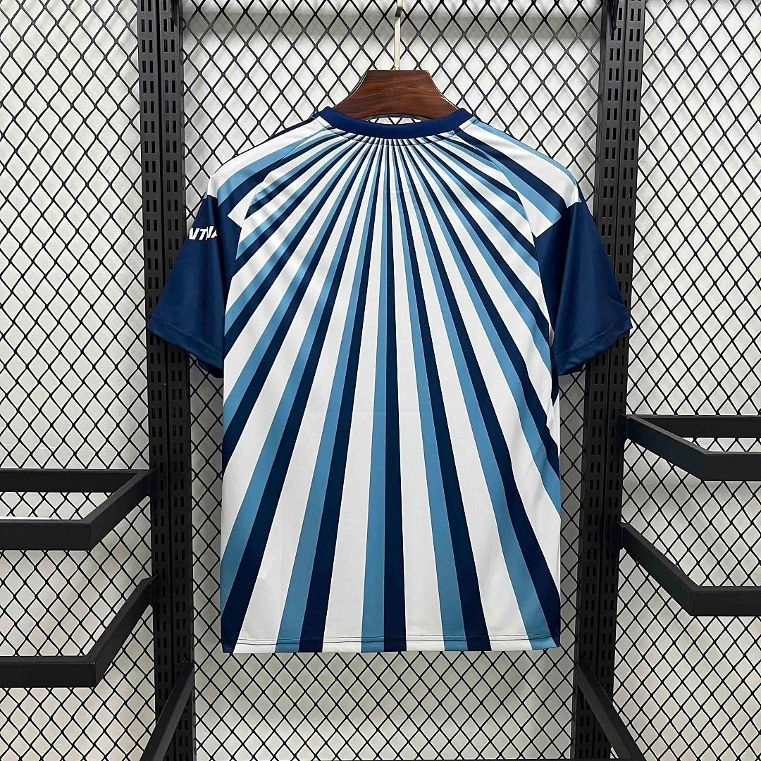 CAMISETA ENTRENAMIENTO ARGENTINA 2026 VERSIÓN FAN - Imagen 5