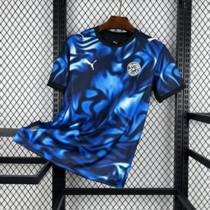 CAMISETA SEGUNDA EQUIPACIÓN PARAGUAY 2026 VERSIÓN FAN