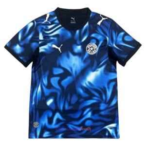 CAMISETA SEGUNDA EQUIPACIÓN PARAGUAY 2026 VERSIÓN FAN