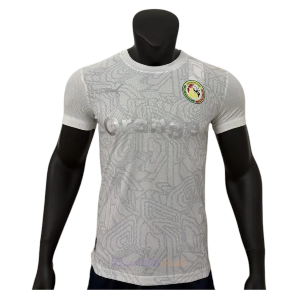 CAMISETA ENTRENAMIENTO SENEGAL 2026 VERSIÓN JUGADOR