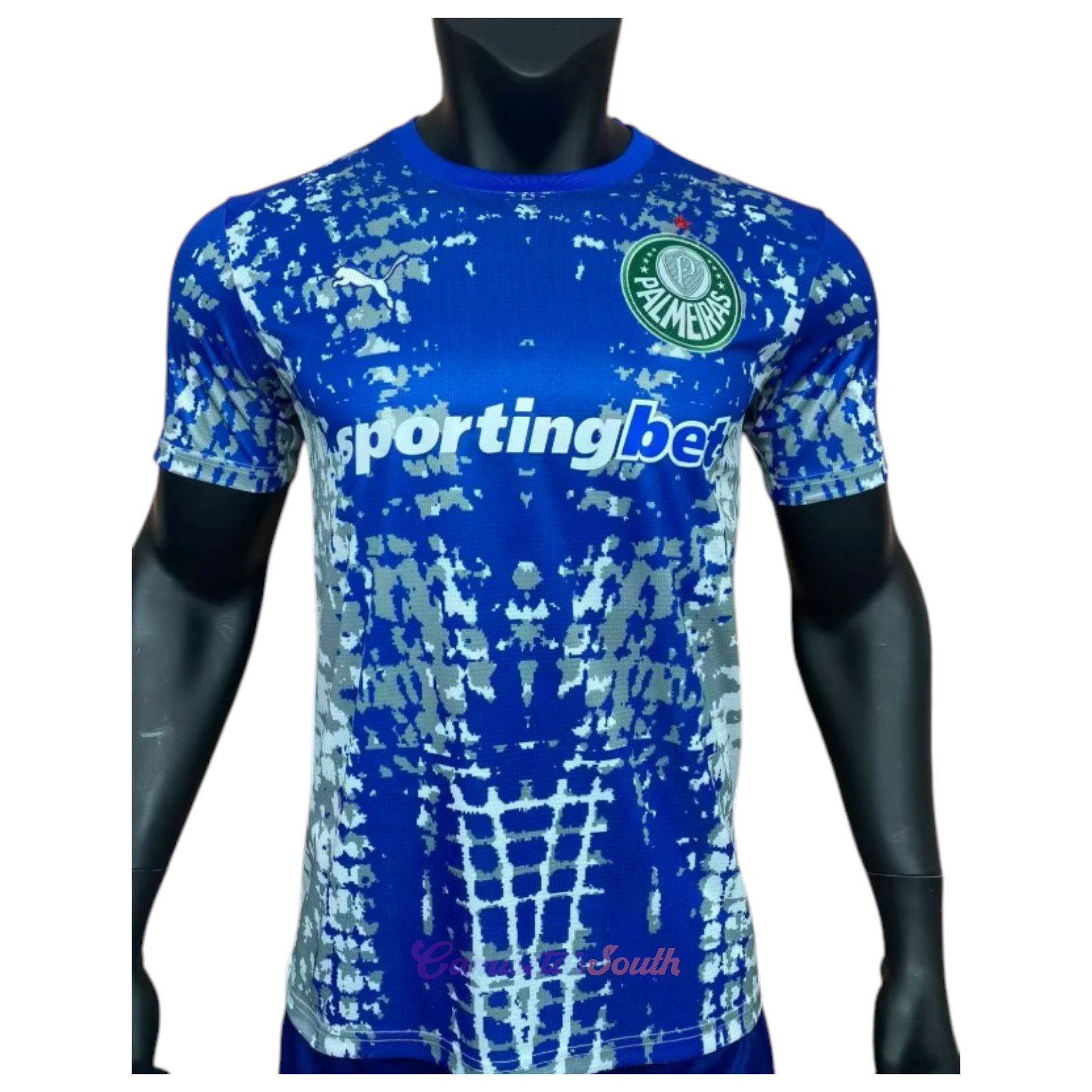 CAMISETA ARQUERO PALMEIRAS 2026 VERSIÓN FAN