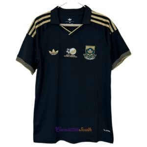 CAMISETA CONCEPTO SUDÁFRICA 2026 VERSIÓN FAN