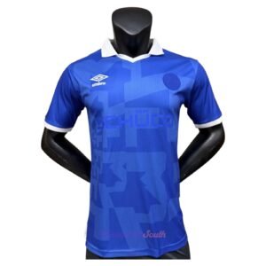 CAMISETA EDICIÓN ESPECIAL ARMINIA BIELEFELD 25/26 VERSIÓN FAN