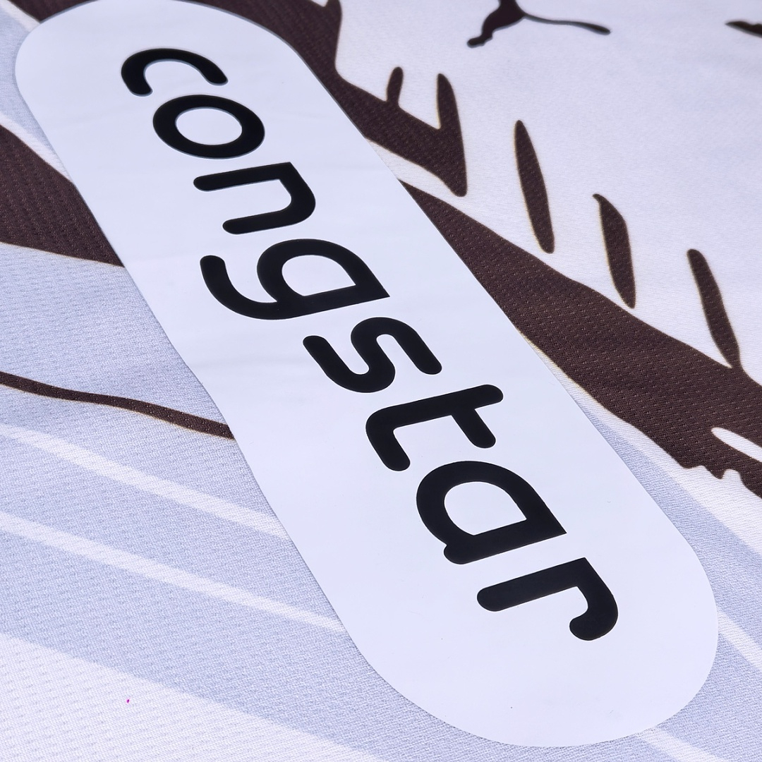 CAMISETA SEGUNDA EQUIPACIÓN FC ST. PAULI 2026/27 VERSIÓN FAN - Imagen 4
